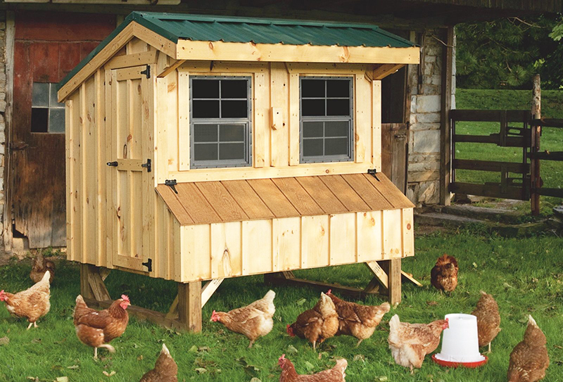 Amish chicken coops for sale